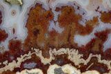 Polished Cathedral Agate Slab - Mexico #302890-1